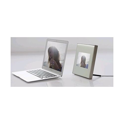 Parrot Specchio Photo Frame